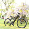 Electric bike BAFANG Mid-Drive 26inch cheap mountain electric bike for sale